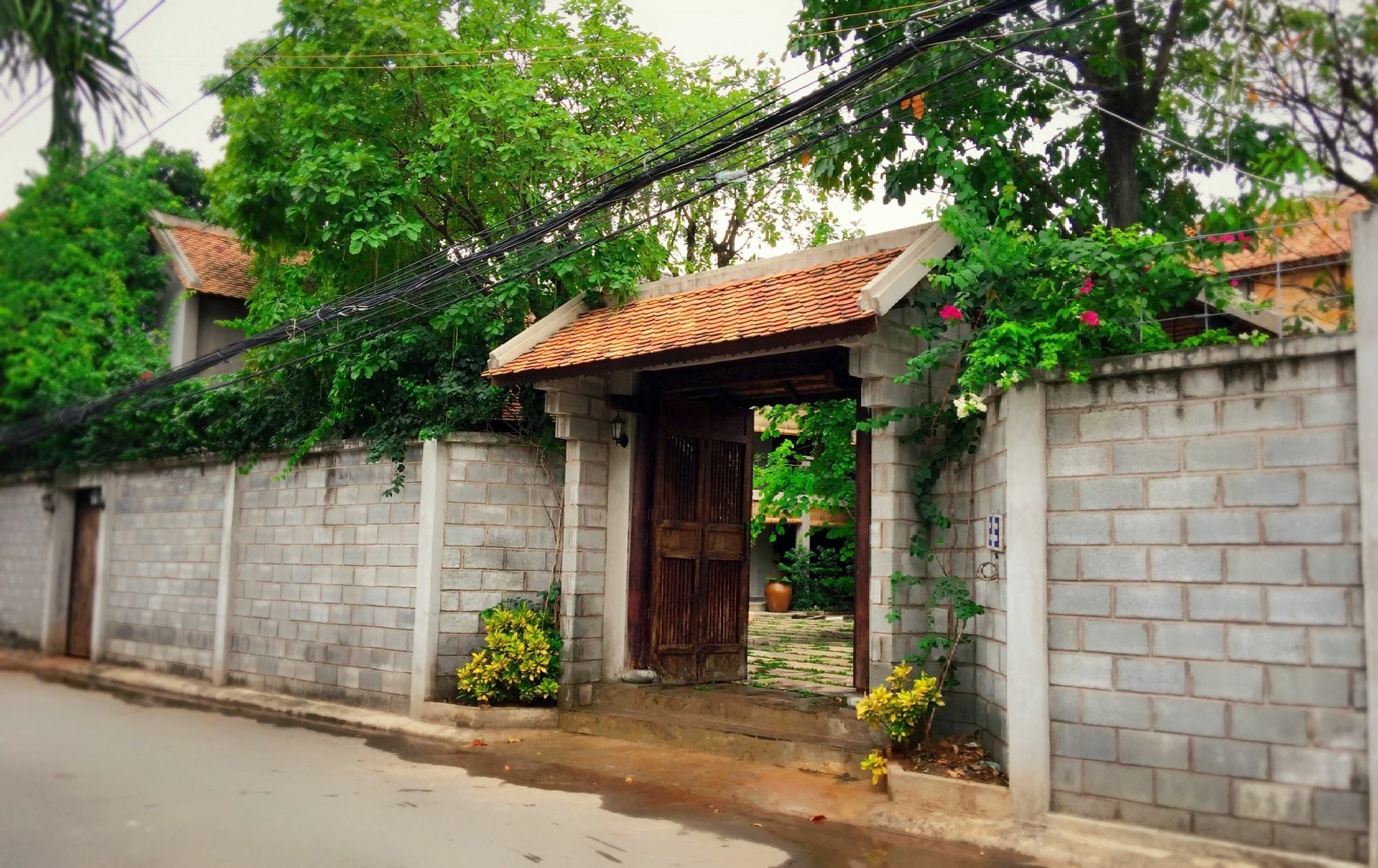 The An Homestay Ciudad Ho Chi Minh  Exterior foto
