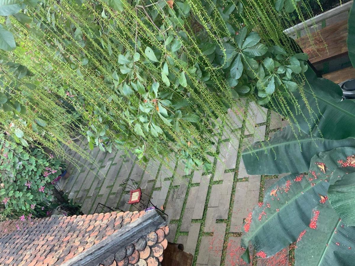 The An Homestay Ciudad Ho Chi Minh  Exterior foto